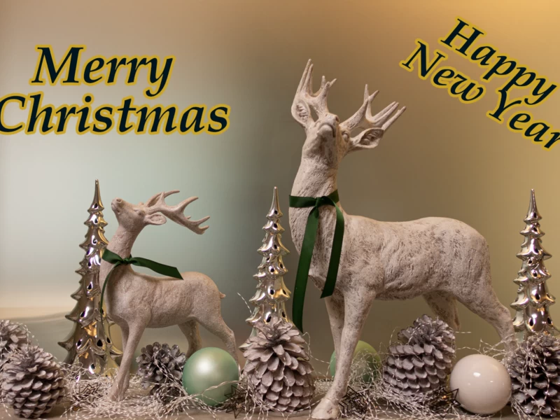 JOYEUX NOËL